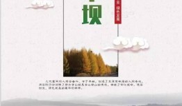 民宿负债爆料案例范文最新,揭秘行业风险与监管困境