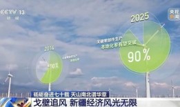 新疆导游爆料新闻最新,揭秘神秘西域背后的真实故事